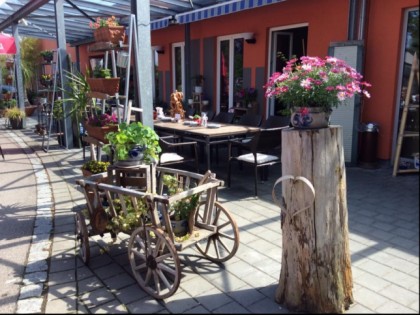 Фото: TSV
